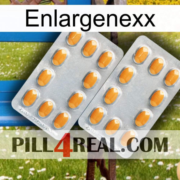 Enlargenexx cialis4.jpg